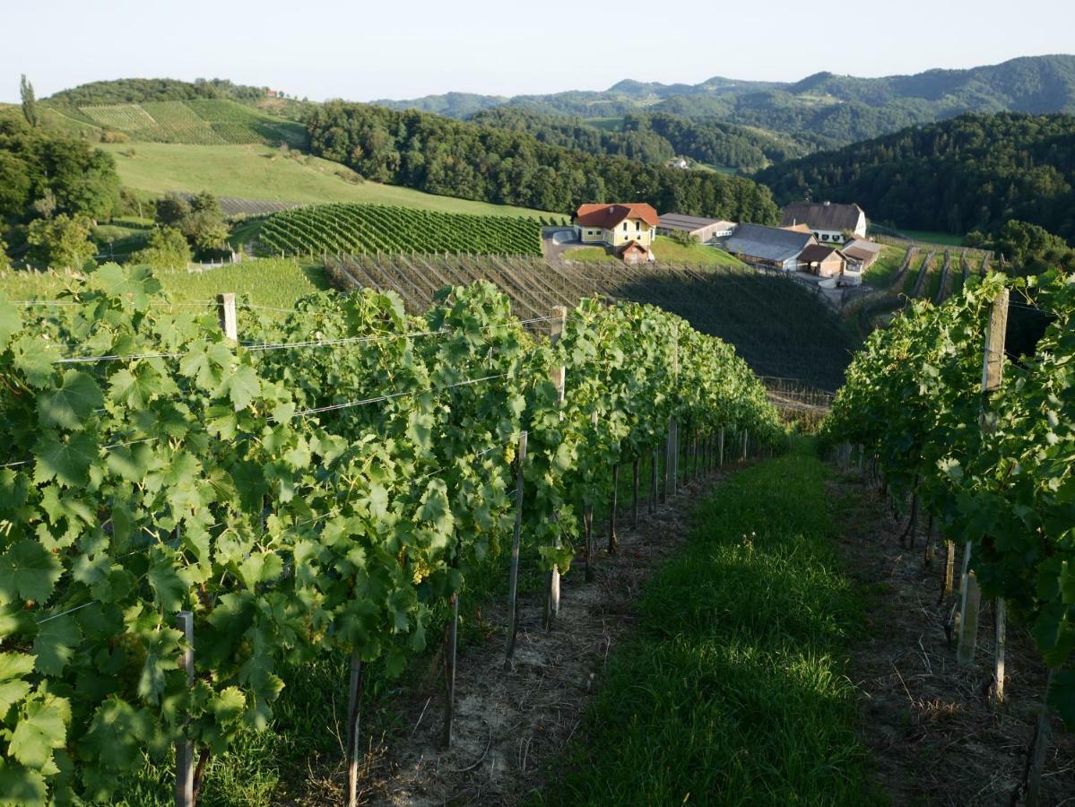 Holiday Home Winzerhaus Eva Spicnik Zewnętrze zdjęcie