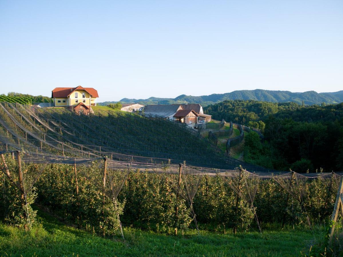 Holiday Home Winzerhaus Eva Spicnik Zewnętrze zdjęcie