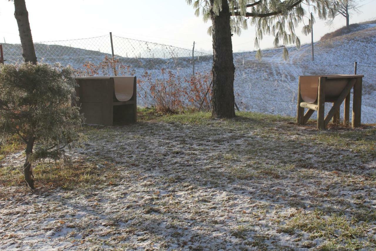 Holiday Home Winzerhaus Eva Spicnik Zewnętrze zdjęcie