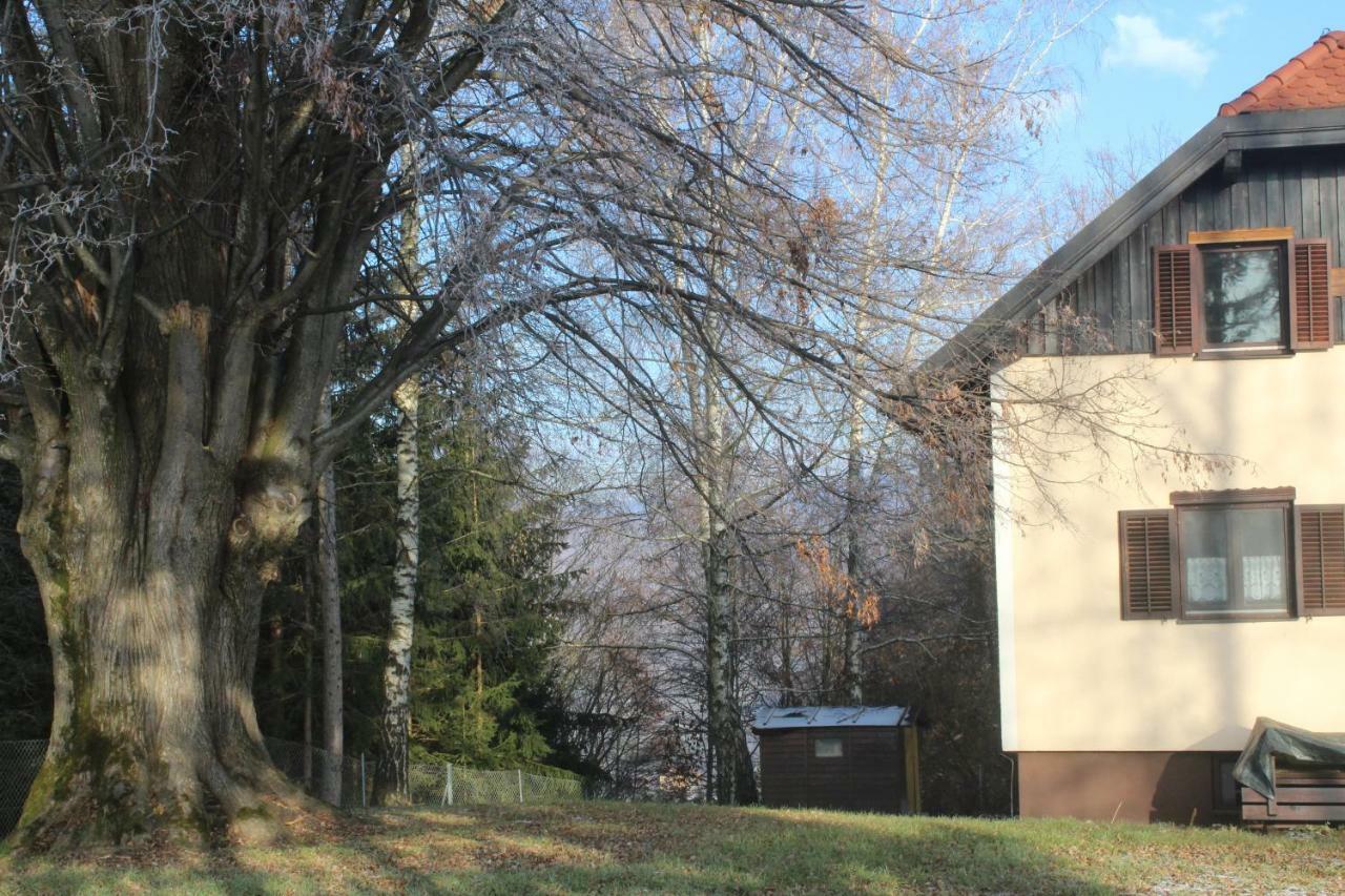 Holiday Home Winzerhaus Eva Spicnik Zewnętrze zdjęcie